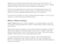 seo optimized articles and blog posts to boost your traffic